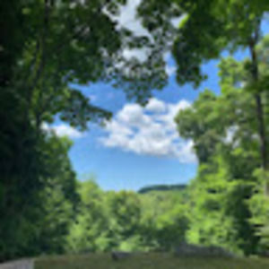 Meet your Posher, Aerin